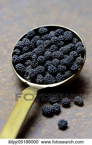 Stock Image - Wild Assam pepper in brass ladle, Assam, India, Asia. Fotosearch