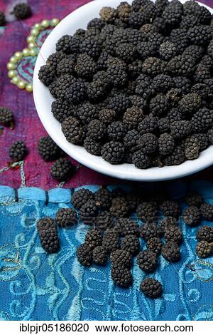 Wild Assam pepper in shell, Assam, India, Asia View Large Photo Image Stock Image - Wild Assam pepper in shell, Assam, India, Asia. Fotosearch