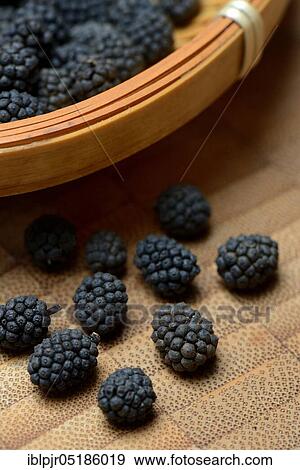 Wild Assam pepper in shell, Assam, India, Asia View Large Photo Image Stock Photo - Wild Assam pepper in shell, Assam, India, Asia. Fotosearch