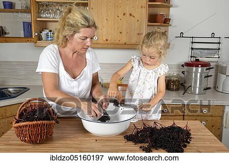 Woman and girl cooking elderberry juice (Sambucus nigra) (Sambuci fructus) View Large Photo Image Stock Photo - Woman and girl cooking elderberry juice (Sambucus nigra) (Sambuci fructus). Fotosearch