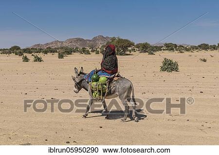 Stock Image - Woman on her donkey, Abeche, Chad, Africa. Fotosearch