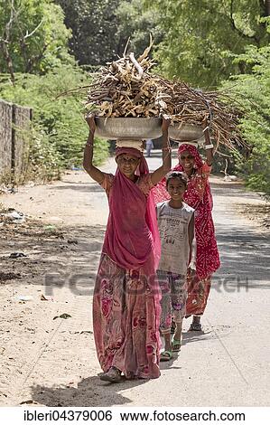 Women carrying firewood on heads, Bera, Rajasthan, India, Asia View Large Photo Image Stock Photograph - Women carrying firewood on heads, Bera, Rajasthan, India, Asia. Fotosearch