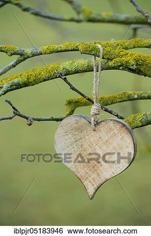 Wooden heart View Large Photo Image Stock Photograph - Wooden heart. Fotosearch