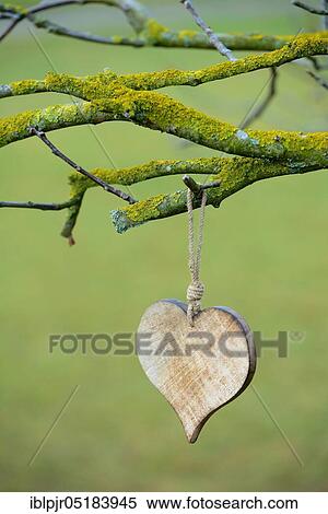 Wooden heart View Large Photo Image Stock Photography - Wooden heart. Fotosearch