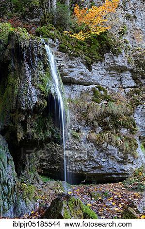 Wutach gorge, mossy rock face with waterfall, Wutach, nature reserve, Black Forest, nature park Park Southern Black Forest, High Black Forest, Baden-Württemberg, Germany, Europe View Large Photo Image Picture - Wutach gorge, mossy rock face with waterfall, Wutach, nature reserve, Black Forest, nature park Park Southern Black Forest, High Black Forest, Baden-Württemberg, Germany, Europe. Fotosearch