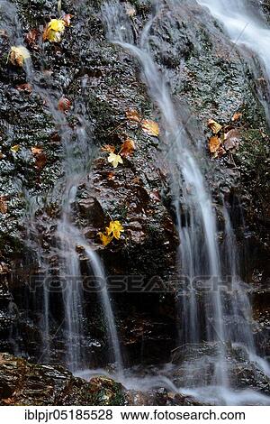 Stock Photo - Wutach gorge, waterfall in Lotenbachklamm, Lotenbach, nature reserve, nature park Southern Black Forest, Black Forest, High Black Forest, Baden-Württemberg, Germany, Europe. Fotosearch