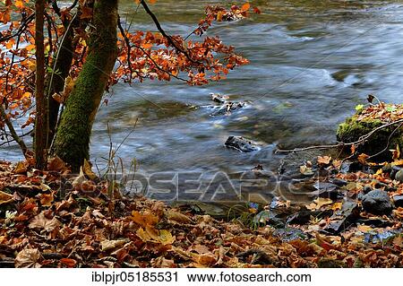 Wutach Gorge, Wild River Wutach, nature park Reserve, Black Forest, Southern Black Forest nature park Park, High Black Forest, Baden-Württemberg, Germany, Europe View Large Photo Image Stock Image - Wutach Gorge, Wild River Wutach, nature park Reserve, Black Forest, Southern Black Forest nature park Park, High Black Forest, Baden-Württemberg, Germany, Europe. Fotosearch