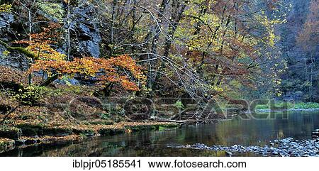 Wutach Gorge, Wild River Wutach, nature park Reserve, Black Forest, Southern Black Forest nature park Park, High Black Forest, Baden-Württemberg, Germany, Europe View Large Photo Image Stock Image - Wutach Gorge, Wild River Wutach, nature park Reserve, Black Forest, Southern Black Forest nature park Park, High Black Forest, Baden-Württemberg, Germany, Europe. Fotosearch
