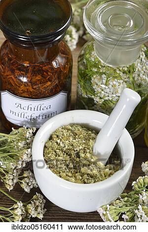 Stock Image - Yarrow, flower powder (Achillea millefolium). Fotosearch