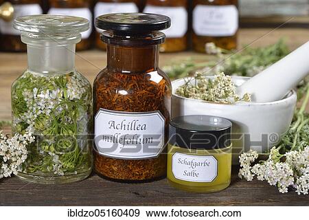 Yarrow ointment (Achillea millefolium), Yarrow ointment View Large Photo Image Stock Photo - Yarrow ointment (Achillea millefolium), Yarrow ointment. Fotosearch