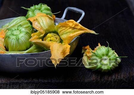 Zucchini flowers in shell ( Cucurbita pepo) var. giromontiina, courgette flower, courgette flowers View Large Photo Image Stock Photo - Zucchini flowers in shell ( Cucurbita pepo) var. giromontiina, courgette flower, courgette flowers. Fotosearch