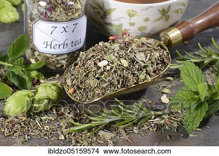 7 x 7 herbal tea, 49 ingredients from herbs, seeds, spices, roots, flowers View Large Photo Image Picture - 7 x 7 herbal tea, 49 ingredients from herbs, seeds, spices, roots, flowers. Fotosearch