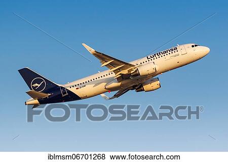 A Lufthansa Airbus A320 aircraft with registration D-AIWI at Athens Airport (ATH), Athens, Greece, Europe View Large Photo Image Stock Photo - A Lufthansa Airbus A320 aircraft with registration D-AIWI at Athens Airport (ATH), Athens, Greece, Europe. Fotosearch