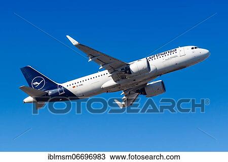 Stock Image - A Lufthansa Airbus A320neo with the registration D-AINL at Frankfurt Airport (FRA), Frankfurt, Germany, Europe. Fotosearch