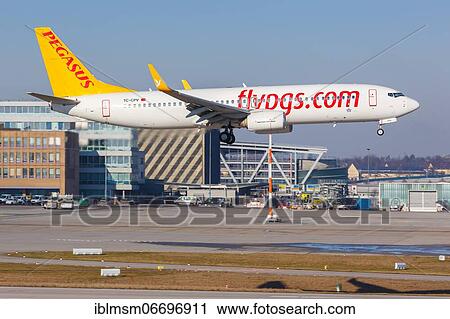 Stock Image - A Pegasus Airlines Boeing 737-800 with registration TC-CPV at Stuttgart Airport (STR), Stuttgart, Germany, Europe. Fotosearch
