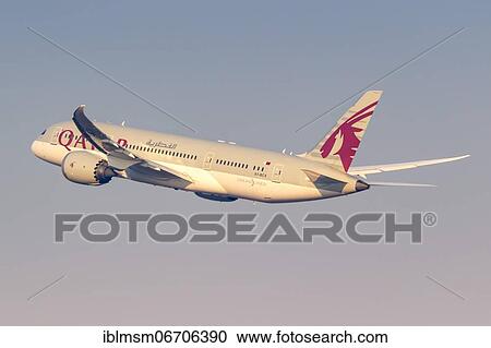 A Qatar Airways Boeing 787-8 Dreamliner aircraft with registration number A7-BCX at Malpensa airport in Milan, Italy, Europe View Large Photo Image Stock Image - A Qatar Airways Boeing 787-8 Dreamliner aircraft with registration number A7-BCX at Malpensa airport in Milan, Italy, Europe. Fotosearch