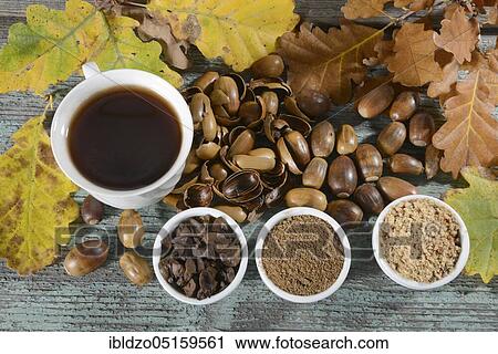 Acorn coffee, roasted acorns, ground, English oak, Quercus robur, roasted, cup View Large Photo Image Stock Image - Acorn coffee, roasted acorns, ground, English oak, Quercus robur, roasted, cup. Fotosearch