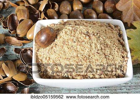 Stock Image - Acorn meal, English oak, English oak (Quercus robur). Fotosearch