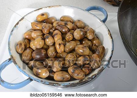 Acorns roasted, English oak, summer oak (Quercus robur), roasted, roasted View Large Photo Image Stock Photograph - Acorns roasted, English oak, summer oak (Quercus robur), roasted, roasted. Fotosearch