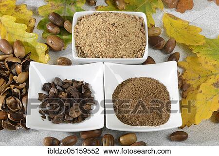 Acorns, roasted, ground, acorn flour, English oak, English oak (Quercus robur) View Large Photo Image Stock Image - Acorns, roasted, ground, acorn flour, English oak, English oak (Quercus robur). Fotosearch