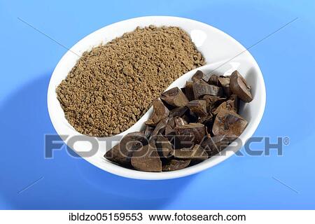 Acorns, roasted, ground, acorn flour, English oak, English oak (Quercus robur) View Large Photo Image Stock Image - Acorns, roasted, ground, acorn flour, English oak, English oak (Quercus robur). Fotosearch