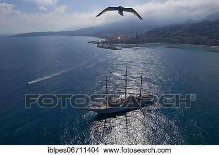 Aerial view sailing ship Sea Cloud II, cruise ship Bark of the Hamburg Sea Cloud Cruises GmbH at anchor in front of the coastal town Menton at the border to Italy, seagull attacks the drone, Alpes Maritimes, region Provence Alpes Cote d'Azur, France,... View Large Photo Image Picture - Aerial view sailing ship Sea Cloud II, cruise ship Bark of the Hamburg Sea Cloud Cruises GmbH at anchor in front of the coastal town Menton at the border to Italy, seagull attacks the drone, Alpes Maritimes, region Provence Alpes Cote d'Azur, France,.... Fotosearch