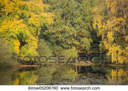 Ahlhorner Fischteiche, Ahlhorn, Lower Saxony, Germany, Europe View Large Photo Image Stock Image - Ahlhorner Fischteiche, Ahlhorn, Lower Saxony, Germany, Europe. Fotosearch