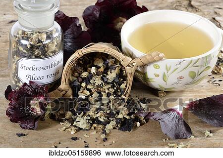 Alcea rosea nigra (Alcea rosea nigra), cup of hollyhock tea, tea strainer View Large Photo Image Stock Photograph - Alcea rosea nigra (Alcea rosea nigra), cup of hollyhock tea, tea strainer. Fotosearch