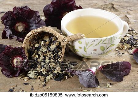 Alcea rosea nigra (Alcea rosea nigra), cup of hollyhock tea, tea strainer View Large Photo Image Stock Photography - Alcea rosea nigra (Alcea rosea nigra), cup of hollyhock tea, tea strainer. Fotosearch