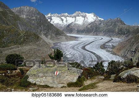 Stock Photograph - Aletsch Glacier, Great Aletsch Glacier, Valais, Switzerland, Europe. Fotosearch