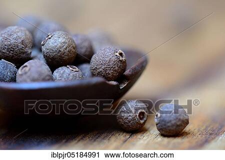 Allspice ( Pimenta dioica) View Large Photo Image Stock Image - Allspice ( Pimenta dioica). Fotosearch
