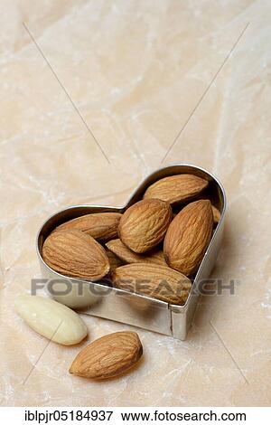 Almonds in cookie cutter( Prunus dulcis), sweet almond View Large Photo Image Stock Photo - Almonds in cookie cutter( Prunus dulcis), sweet almond. Fotosearch