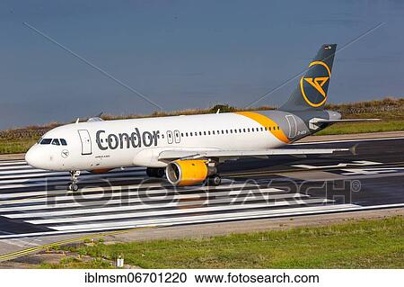An Airbus A320 aircraft of Condor with registration number D-AICA at Corfu Airport (CFU), Corfu, Greece, Europe View Large Photo Image Stock Image - An Airbus A320 aircraft of Condor with registration number D-AICA at Corfu Airport (CFU), Corfu, Greece, Europe. Fotosearch