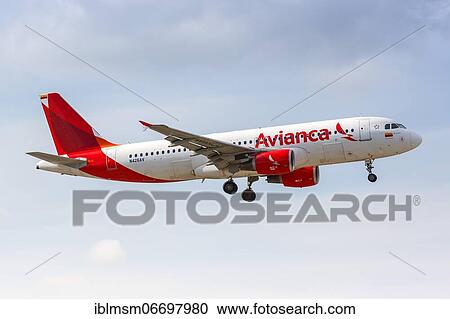 An Avianca Airbus A320 aircraft with registration N426AV at Miami Airport (MIA), USA, North America View Large Photo Image Stock Image - An Avianca Airbus A320 aircraft with registration N426AV at Miami Airport (MIA), USA, North America. Fotosearch