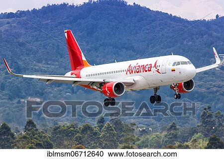 Stock Image - An Avianca Airbus A320 aircraft with registration N728AV lands at Medellin Rio airport, Colombia, South America. Fotosearch