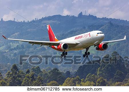 An Avianca Cargo Airbus A330-200F aircraft with registration N335QT lands at Medellin Rio Airport, Colombia, South America View Large Photo Image Stock Photography - An Avianca Cargo Airbus A330-200F aircraft with registration N335QT lands at Medellin Rio Airport, Colombia, South America. Fotosearch