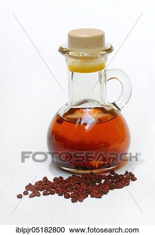 Stock Image - Anatto seeds, bottled anatto oil, Achiote (Bixa orellana), Annatto, Achiote, Anatto oil. Fotosearch