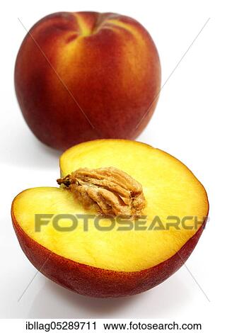 Apricot peach (Persica) vulgaris, fruit against white background View Large Photo Image Stock Image - Apricot peach (Persica) vulgaris, fruit against white background. Fotosearch