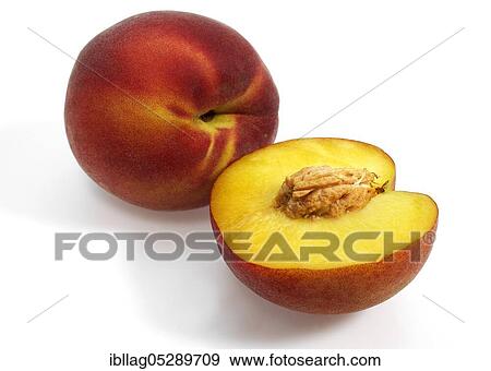 Stock Photo - Apricot peach (Persica) vulgaris, fruit against white background. Fotosearch