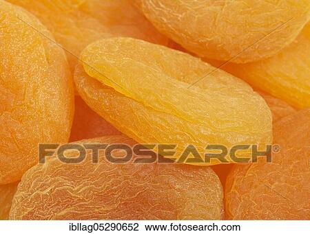 Apricot (prunus armeniaca), Apricot, Rose family, Dryed Apricots View Large Photo Image Stock Image - Apricot (prunus armeniaca), Apricot, Rose family, Dryed Apricots. Fotosearch