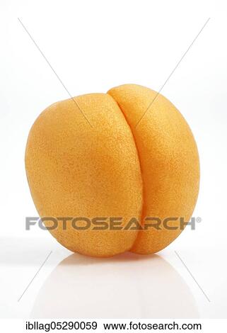 Apricot (Prunus armeniaca), fruit against white background View Large Photo Image Stock Photo - Apricot (Prunus armeniaca), fruit against white background. Fotosearch