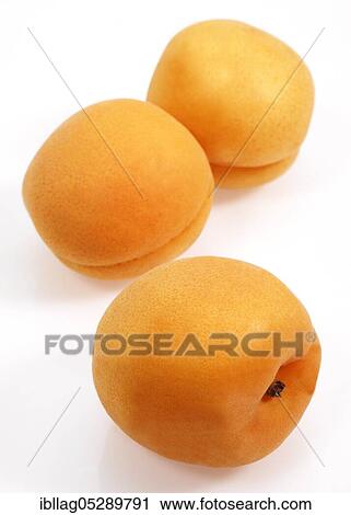 Apricots (Prunus armeniaca) against white background View Large Photo Image Stock Image - Apricots (Prunus armeniaca) against white background. Fotosearch