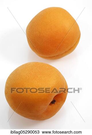 Apricots (Prunus armeniaca) against white background View Large Photo Image Stock Image - Apricots (Prunus armeniaca) against white background. Fotosearch