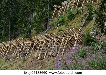 Avalanche barrier, avalanche protection, wooden fence, Riederalp, Valais, Switzerland, Europe View Large Photo Image Stock Image - Avalanche barrier, avalanche protection, wooden fence, Riederalp, Valais, Switzerland, Europe. Fotosearch