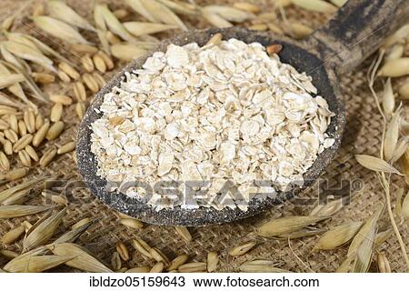 (Avena sativa) oatmeal View Large Photo Image Stock Image - (Avena sativa) oatmeal. Fotosearch