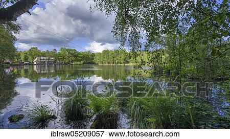 Stock Photo - Baeken of Endeler and Holzhauser Heath, Engelmannsbäke, Visbek, Lower Saxony, Germany, Europe. Fotosearch