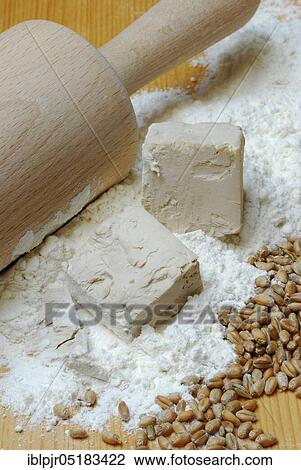 Baker's yeast, yeast, yeast cubes and wheat flour, wheat grains, flour, baking ingredient, baking agent, dry yeast View Large Photo Image Stock Image - Baker's yeast, yeast, yeast cubes and wheat flour, wheat grains, flour, baking ingredient, baking agent, dry yeast. Fotosearch