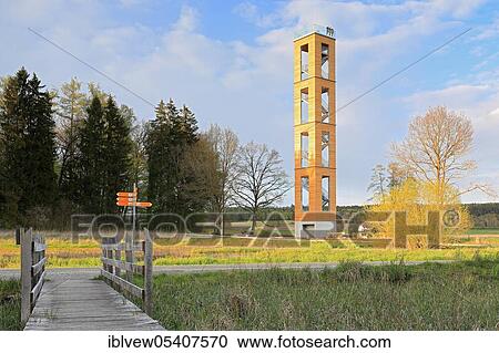 Stock Image - Bannwaldturm, lookout tower, Ostrach, Pfrunger-Burgweiler Ried, Baden-Württemberg, moor, Germany, Europe. Fotosearch