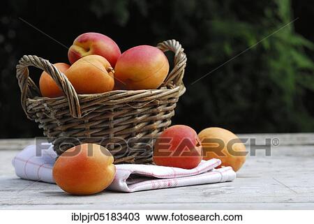 Stock Image - Basket with apricots ( Ribes rubrum) apricot, apricot. Fotosearch