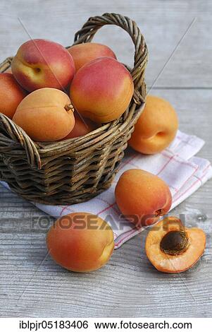 Stock Photograph - Basket with apricots ( Ribes rubrum) apricot, apricot. Fotosearch